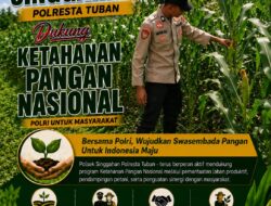 Polsek Singgahan Polresta Tuban Turun Cek Tanaman jagung Warga di Desa Tingkis