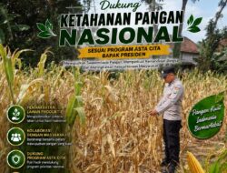 Polri Dukung Astacita, Polsek Semanding Polresta Tuban Turun Cek Tanaman jagung milik Warga di Desa Jadi