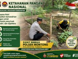 Polsek Montong Polresta Tuban Turun Cek Tanaman jagung Warga di Desa Pucangan
