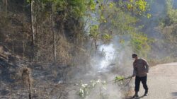 Sigap Padamkan Titik Api di Kilometer 78, Kapolsek Lunyuk Bersama Warga Tanggulangi Kebakaran Hutan dan Lahan