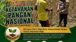 Polri Dukung Astacita, Polsek Rengel Polresta Tuban Turun Cek Tanaman Jagung Warga di Desa Rengel