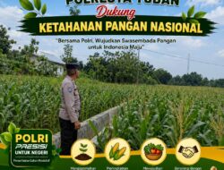 Polri dukung progam Astacita, Polsek Jatirogo Polresta Tuban Turun Cek Tanaman jagung Warga di Desa Kebonharjo