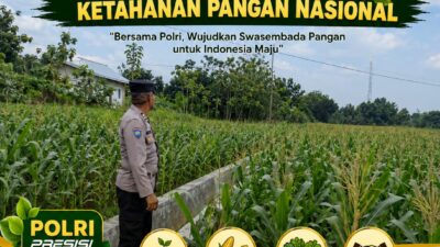 Polri dukung progam Astacita, Polsek Jatirogo Polresta Tuban Turun Cek Tanaman jagung Warga di Desa Kebonharjo