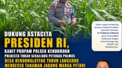 POLSEK KENDURUAN POLRESTA TUBAN DUKUNG PROGRAM KETAHANAN PANGAN NASIONAL MELALUI PENGECEKAN TANAMAN JAGUNG WARGA