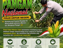 Polsek Soko Polresta Tuban Turun Langsung Cek Tanaman Jagung Warga