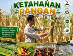Mendukung Program Ketahanan Pangan Nasional Anggota Ps Kanit Binmas Polsek Senori Polresta Tuban Memantau Tanaman Jagung Milik Warga Desa Medalem