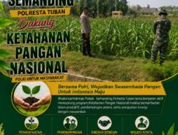 Polri Dukung Astacita, Polsek Semanding Polresta Tuban Turun Cek Tanaman jagung milik Warga di Kel. Karang