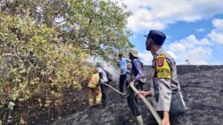 Sigap Padamkan Karhutla di Kilometer 84 Lunyuk, Polsek Bersama Damkar dan Warga Selamatkan Lahan Tanam Warga