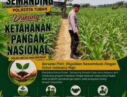 Polri Dukung Astacita, Polsek Semanding Polresta Tuban Turun Cek Tanaman jagung milik Warga di Desa Tegalagung