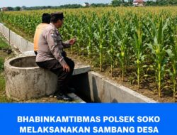 Polsek Soko Polresta Tuban Turun Langsung Cek Tanaman Jagung Warga
