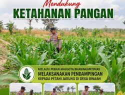 Mendukung Program Ketahanan Pangan Nasional Anggota Bhabinkamtibmas Polsek Senori Polresta Tuban Lakukan Pemantauan Tanaman Jagung Warga Desa Jatisari