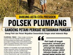 Polsek Plumpang Polresta Tuban Turun Langsung Cek Tanaman Jagung Warga