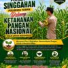 Polsek Singgahan Polresta Tuban Turun Cek Tanaman jagung Warga di Desa Tingkis