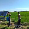 Dukung Ketahanan Pangan Nasional, Bhabinkamtibmas Desa Motong Sambangi Petani Padi dan Dorong Pemanfaatan Pekarangan