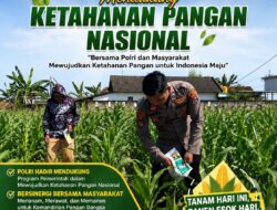 Polsek Soko Polresta Tuban Turun Langsung Cek Tanaman Jagung Warga