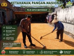 Polsek Montong Polresta Tuban Turun Cek Tanaman jagung Warga di Desa Bringin