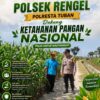 Polsek Plumpang Polresta Tuban Turun Langsung Cek Tanaman Jagung Warga