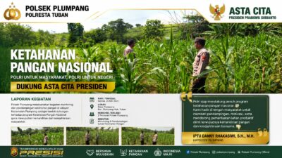 Polri Dukung Astacita, Polsek Rengel Polresta Tuban Turun Cek Tanaman Jagung Warga di Desa Sawahan