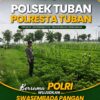 Polsek Tuban Dukung Ketahanan Pangan, Pantau Perkembangan Lahan Pertanian Warga