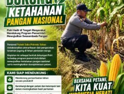 Polsek Soko Polresta Tuban Turun Langsung Cek Tanaman Jagung Warga