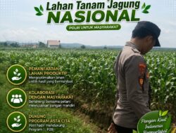 Polsek Singgahan Polresta Tuban Turun Cek Tanaman jagung Warga di Desa Lajo Lor