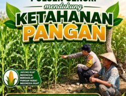 Mendukung Program Ketahanan Pangan Nasional Anggota Bhabinkamtibmas Polsek Senori Polresta Tuban Lakukan Sambang Dan Pemantauan Tanaman Jagung Warga Desa Sendang
