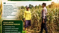 Dukung Ketahanan Pangan, Polsek Kerek Sambang Lahan Jagung di Desa Binaan