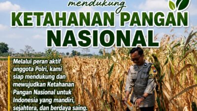 Polisi RW Polsek Senori Polresta Tuban Pantau Kodisi Tanaman Jagung Milik Warga Desa Medalem Guna Mendukung Program Ketahanan Pangan