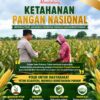 Polsek Soko Polresta Tuban Turun Langsung Cek Tanaman Jagung Warga