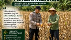 DALAM RANGKA MENDUKUNG PROGRAM KETAHANAN PANGAN, ANGGOTA POLSEK PARENGAN POLRESTA TUBAN SAMBANGI PETANI JAGUNG DI DESA SELOGABUS KEC. PARENGAN