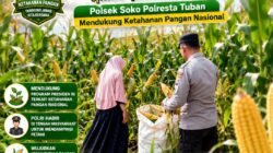 Polsek Soko Polresta Tuban Turun Langsung Cek Tanaman Jagung Warga