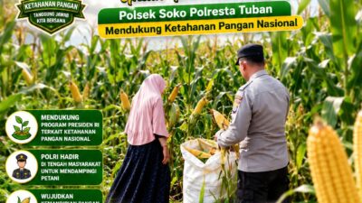 Polsek Soko Polresta Tuban Turun Langsung Cek Tanaman Jagung Warga
