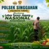 Polsek Singgahan Polresta Tuban Turun Cek Tanaman jagung Warga di Desa Lajo Lor