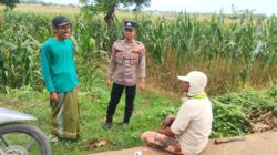 Polsek Tambakboyo Dialogis di Tepi Ladang Jagung, Jaga Kamtibmas dan Dukung Petani