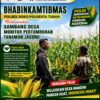 Polsek Soko Polresta Tuban Turun Langsung Cek Tanaman Jagung Warga