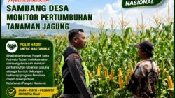 Polsek Soko Polresta Tuban Turun Langsung Cek Tanaman Jagung Warga