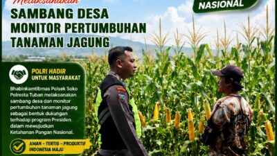 Polsek Soko Polresta Tuban Turun Langsung Cek Tanaman Jagung Warga