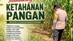 Mendukung Program Ketahanan Pangan Nasional Anggota Bhabinkamtibmas Polsek Senori Polresta Tuban Lakukan Pemantauan Tanaman Jagung Warga Desa Sendang