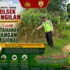 Polsek Bangilan Dukung Ketahanan Pangan Nasional Melalui Monitoring Tanaman Jagung