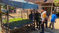 Dukung Ketahanan Pangan Nasional, Bhabinkamtibmas Desa Suka Mulya Sambangi Petani Cabai Berikan Motivasi