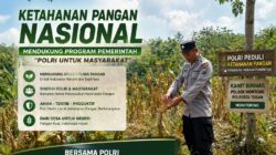 Polsek Montong Polresta Tuban Turun Cek Tanaman jagung Warga di Desa Ngulahan