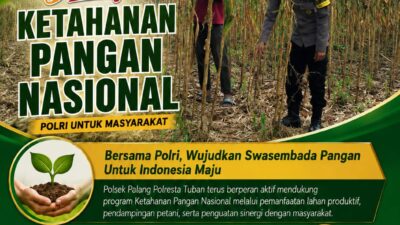 Dukung Astacita, Polsek Palang Polresta Tuban Pantau Langsung Lahan Jagung milik warga Desa Wangun