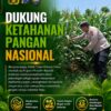 Polsek Tuban Dukung Ketahanan Pangan Nasional, Pantau Langsung Lahan Jagung Warga