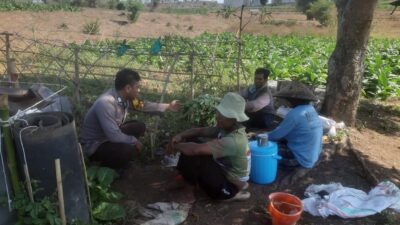 BHABINKAMTIBMAS NUSA JAYA SAMBANG PETANI TEMBAKAU, DORONG PENINGKATAN KUALITAS HASIL PANEN