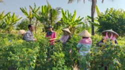 Bhabinkamtibmas Desa Pringgabaya AIPDA Marten Zakarias Leuwol Sambangi Petani, Perkuat Silaturahmi dan Sampaikan Himbauan Kamtibmas