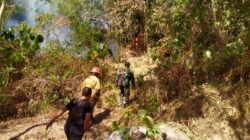 Lahan Wakaf Terbakar, TNI-Polri dan Damkar Bertindak