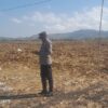 CEK KESIAPAN PANEN RAYA JAGUNG, KAPOLSEK HU’U TINJAU LAHAN DI DESA SAWE