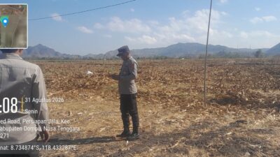 CEK KESIAPAN PANEN RAYA JAGUNG, KAPOLSEK HU’U TINJAU LAHAN DI DESA SAWE