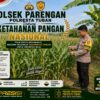 BHABINKAMTIBMAS DESA PACING SAMBANGI LAHAN JAGUNG DI DESA PACING KECAMATAN PARENGAN GUNA DUKUNG KETAHANAN PANGAN.