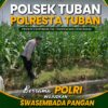 Polsek Grabagan Polresta Tuban Turun Langsung Cek Tanaman Jagung Warga